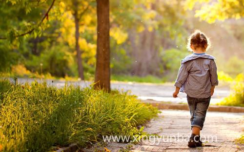 带丁字的女孩名字大全