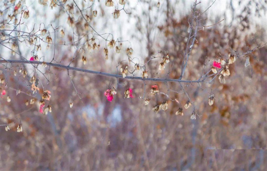 大暑出生的人怎么取名字好听 取名字怎么看五行