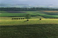 ​早安心语简单一句话说说心情励志语录精选36句