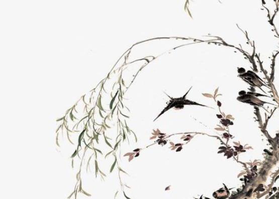 丑时出生五行缺火的女孩取名，这些字属火都可用于取名