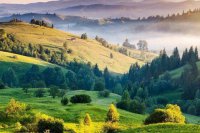 ​姓公羊的名人有哪些？