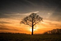 ​分手伤感句子表达心情