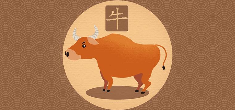 属牛的女孩小名好听的有哪些