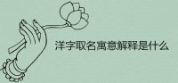 ​洋字取名寓意解释是什么