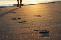 ​五行起名_带修字的女孩名字大全_和修字搭配的好名字