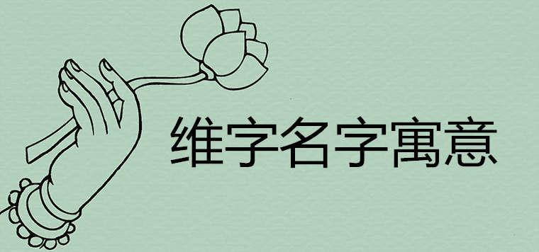 维字名字寓意是什么