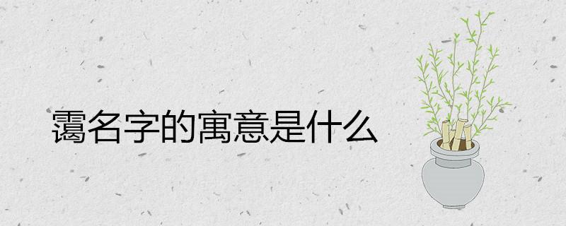 霭名字的寓意是什么