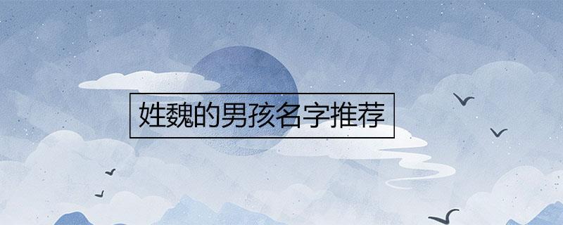 姓魏的男孩名字推荐