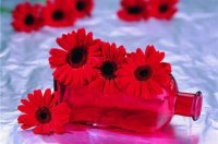 ​qq心情说说伤感