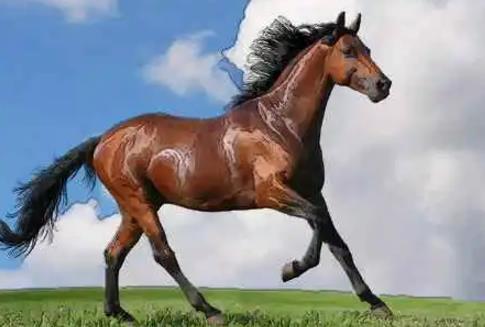 骏与俊起名字哪个好