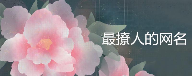 最撩人的网名 最撩人的网名