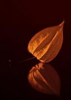 ​喆取名的忌讳 喆取名寓意五行属什么