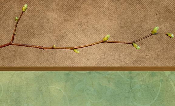 男孩取名谦好不好 谦字取名男孩有什么寓意