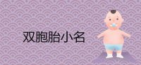 ​有创意的双胞胎小名