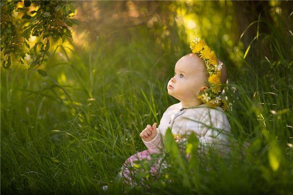 嘉奕这个名字怎么解释