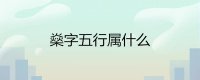 ​燊字五行属什么