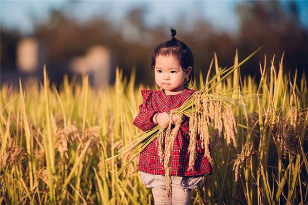 安字的意思 五行属什么