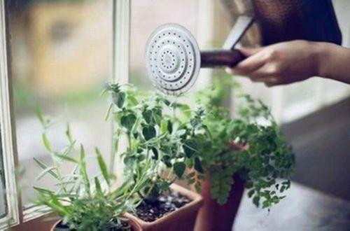 让女生开心的句子说说心情