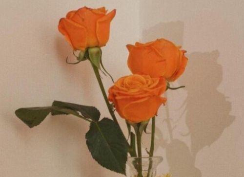 2025年励志心情句子