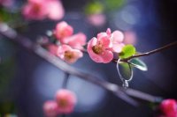 ​陪孩子写作业的心情语录 陪孩子写作业幸福说说(46句)