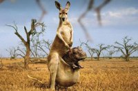 ​分手心情的伤感句子