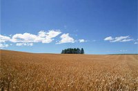 ​表示心情压抑的忧伤抖音文案(56句)