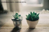 ​心情低落文案短句心情不好的文案简短(39句)