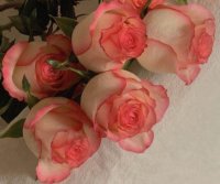 ​伤心的说说心情短语 伤心绝望的句子摘录20句