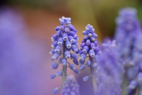 工作心情不开心的句子说说心情