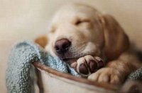 ​下雨心情不好的说说 适合下雨天晚上发朋友圈的句子锦集16句