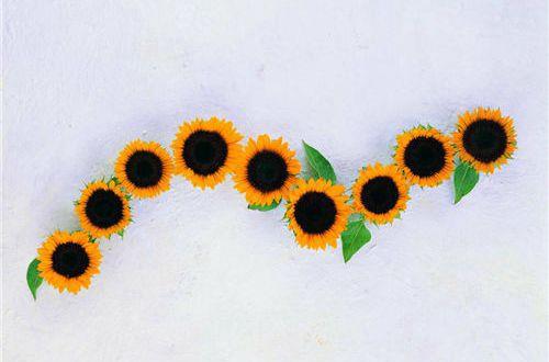 发朋友圈看月亮的心情句子