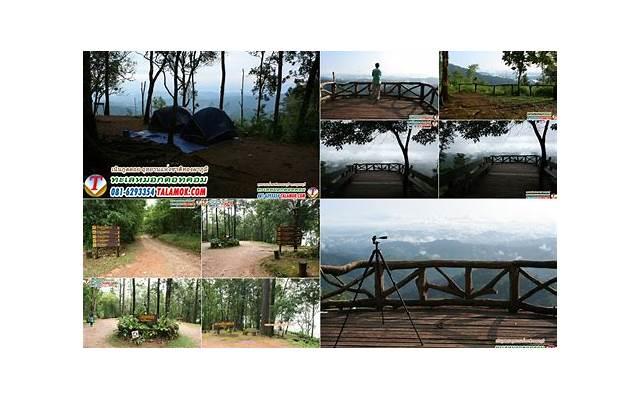 爱情唯美幸福说说：幸福就是，不后悔