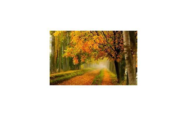 我都猜不透-关于爱情的经典说说 你爱我几何