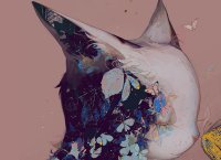 ​女人对爱情执着的句子 关于执着爱情的句子(48句)