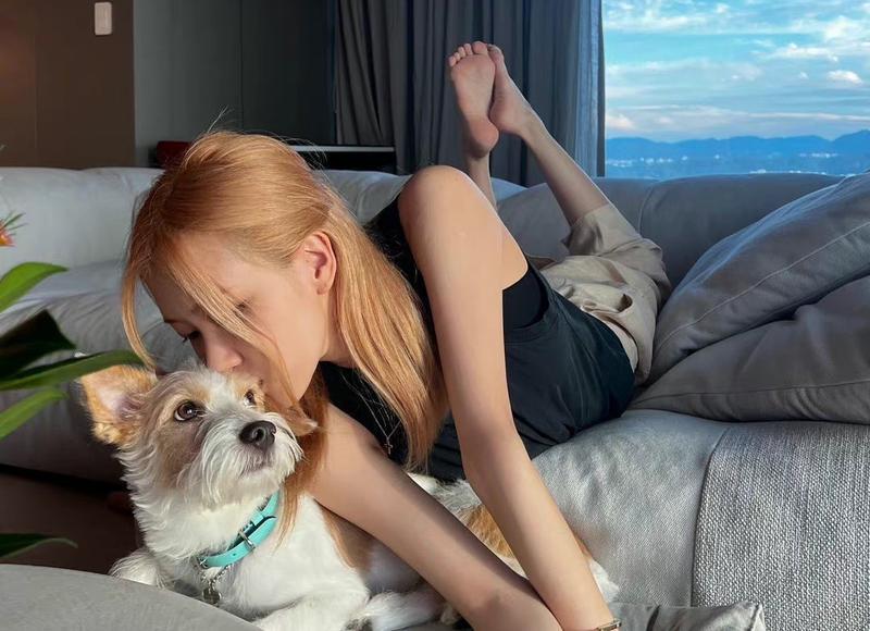 2025年简短的爱情受伤句子