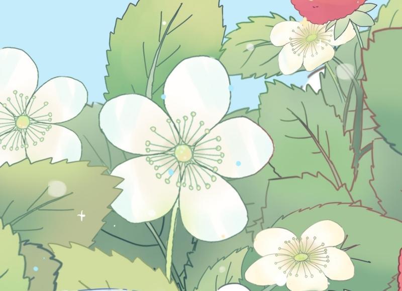 关于幸福爱情的说说