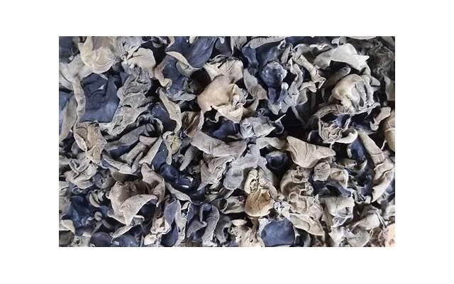 被爱情欺骗的句子