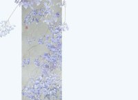 ​感叹爱情无奈的句子词语(无奈放下爱情的句子)