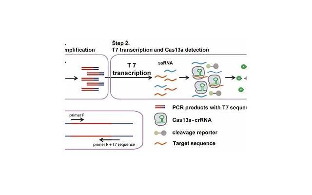 爱情不是单方面的付出说说 爱情不是单方面的付出说说