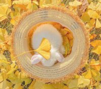 ​最新生日搞笑的文案(精选69句)