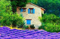 ​同学录留言搞笑句子简短精选71句