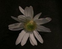 ​愚人节快乐 4.1愚人节的搞笑文案(79句)