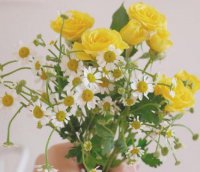 ​生日文案祝自己的搞笑幽默句子(精选78句)