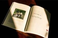 ​2025经典搞笑句子62句