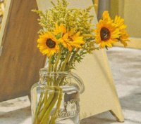 ​自恋的句子搞笑 自夸自恋经典句子女生(69句)