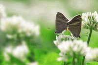 ​搞笑的生日文案精选(精选42句)