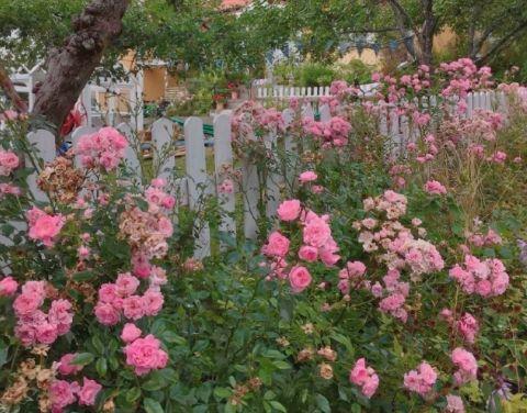 情人节搞笑整人短信