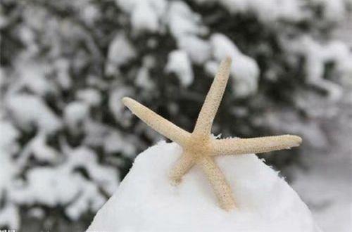 搞笑句子笑中有真理