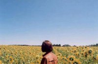 ​不经意的偶遇句子 不经意的偶遇搞笑句子(60句)