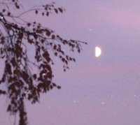 ​搞笑幽默的句子 2025年最红的搞笑句子(60句)